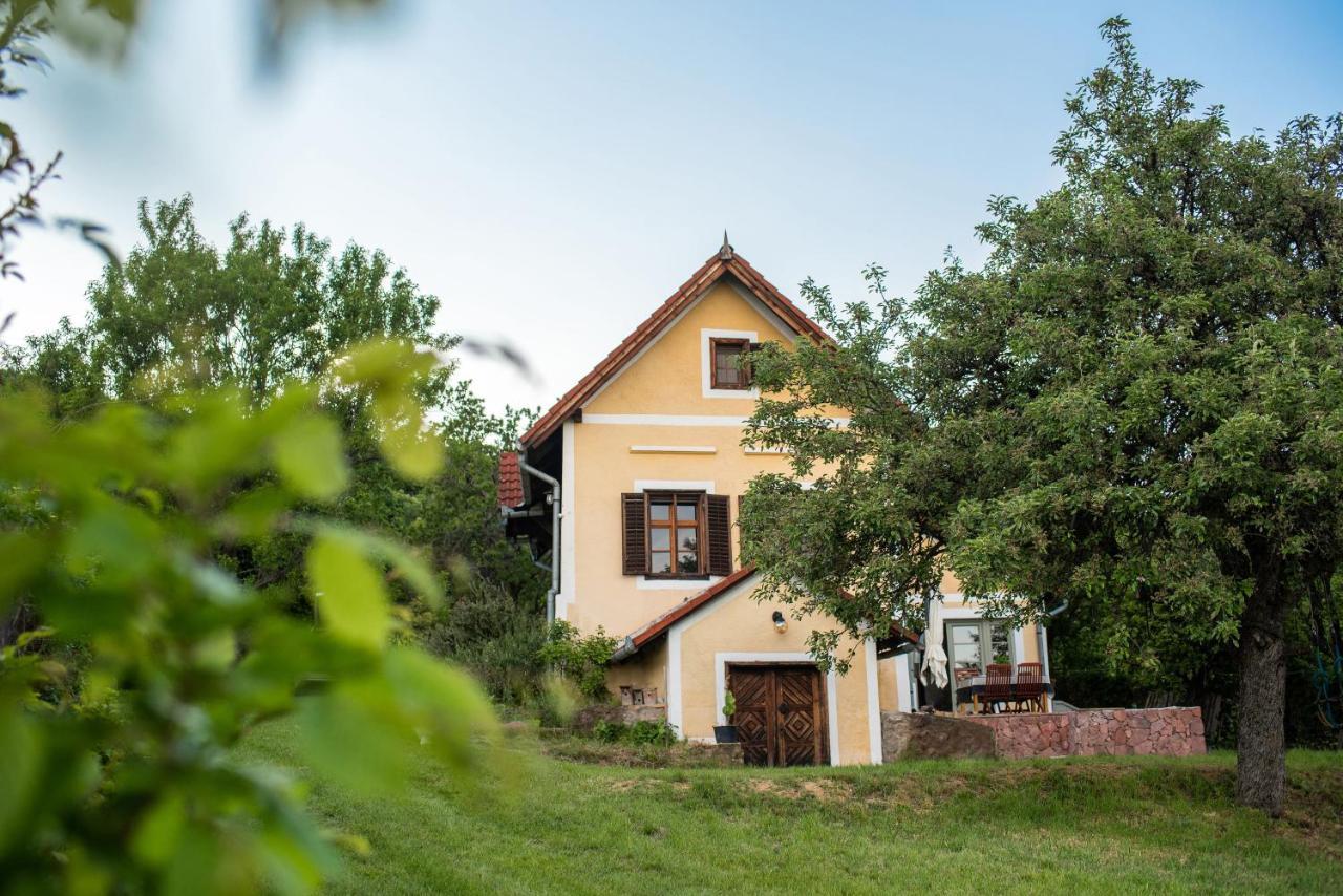 Panorámás Vincellérház - *