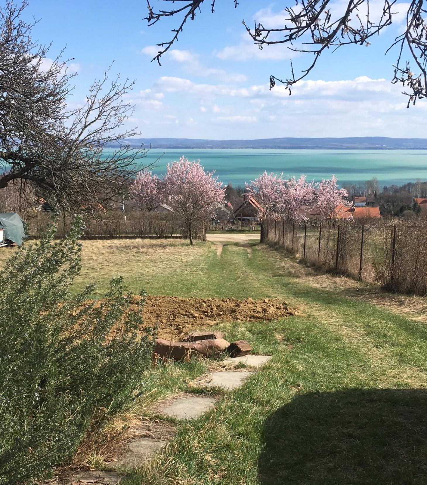 Nyaraló Panorámás Vincellérház - Balatonszepezd